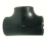 TES ASTM WPB 24″  STD